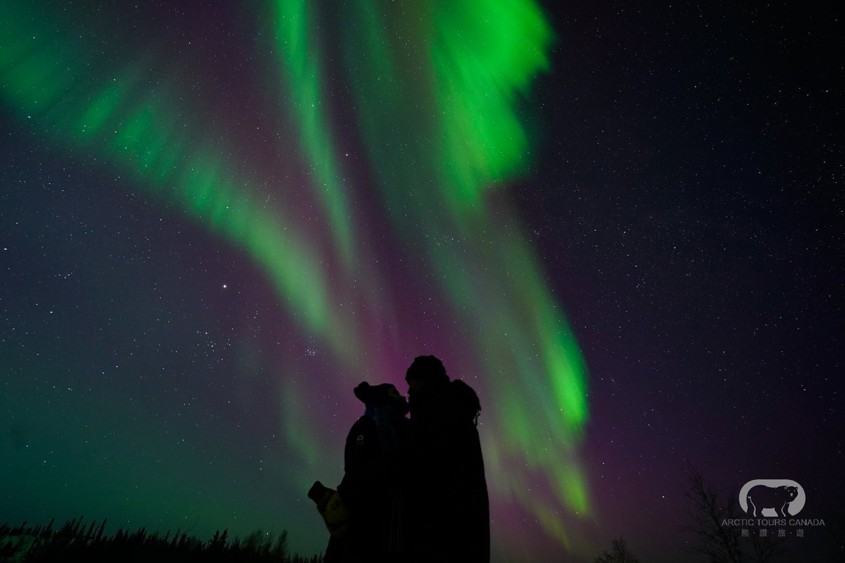arctictourscan's tweet photo. She said YES! Under dancing aurora last night! 
---------
#willyoumarryme #proposals #proposalsetup #auroralovers #aurora #northenlights #nightlife #nightphotography #traveltrend #travel #viaja #極光  #オーロラ #오로라 #explore #yellowknife #arctictourscanada https://t.co/lhBzMboBKh