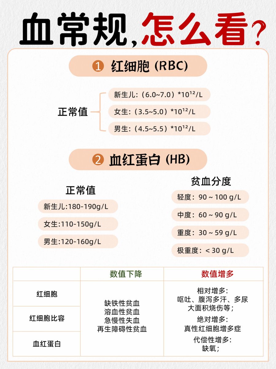 西时珍🌎 tweet media