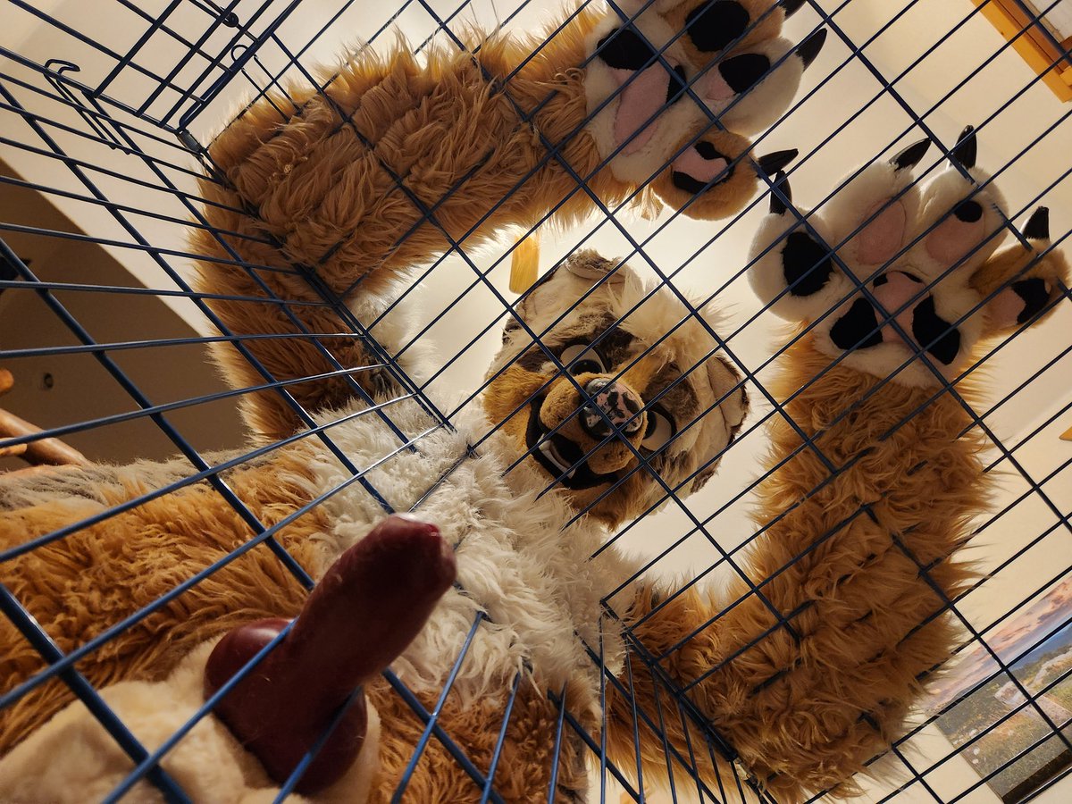 Ashes Makin' Puppies @ LVFC (@makinpuppies) on Twitter photo Point of view: You're locked in a crate and about to get bred by the intact dog outside.
🐶: <a href="/Blizz_Doggy/">Mutt Hole Surfer ΘΔ 💄🦴🌭🪢</a> Point of view: You're locked in a crate and about to get bred by the intact dog outside.
🐶: <a href="/Blizz_Doggy/">Mutt Hole Surfer ΘΔ 💄🦴🌭🪢</a>