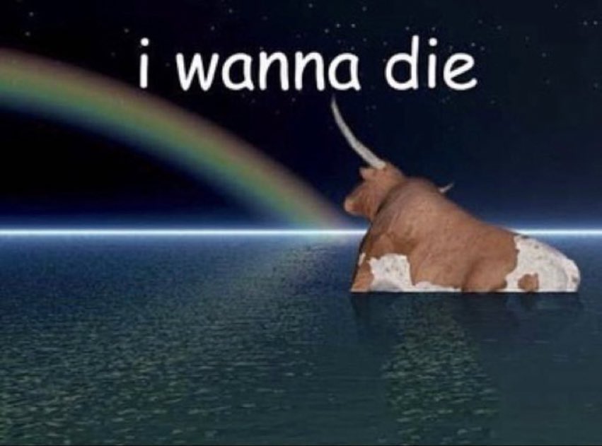 max owen tweet media