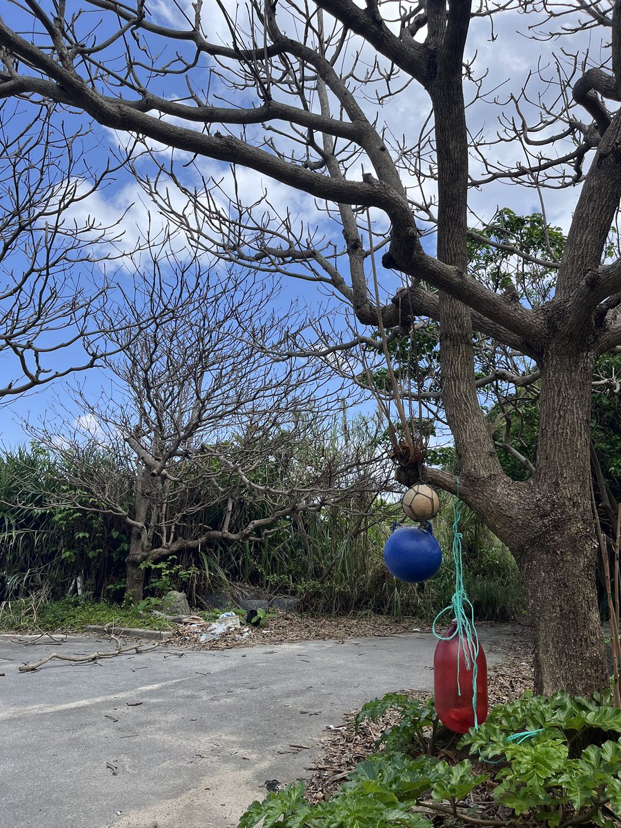 しんたにkungfu (@araquanjp) on Twitter photo 