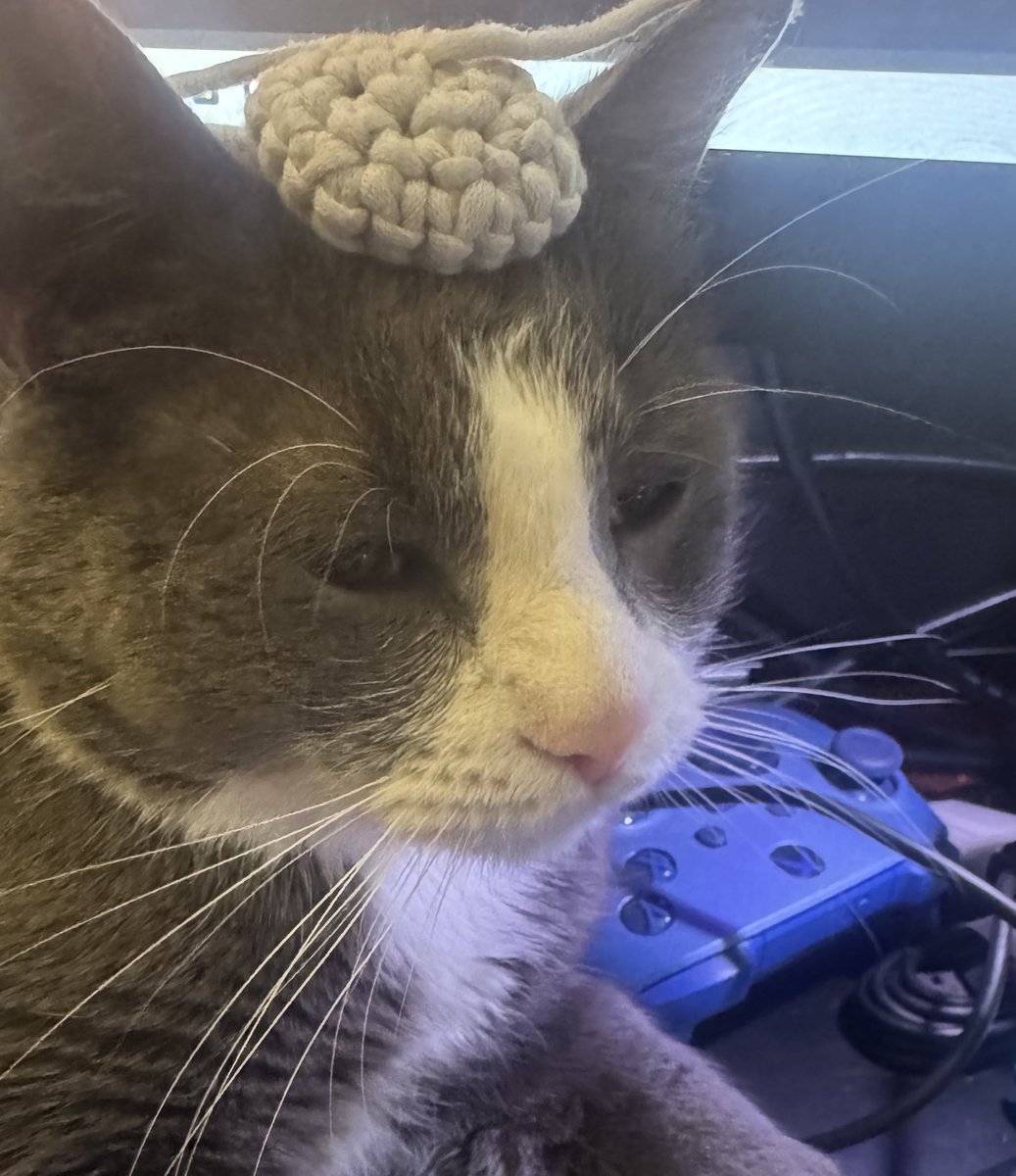 It’s been a few weeks from hell I’ll admit, but I’m trying to keep shit together for myself and the people close to me. I took a little mental break today and started to crochet a plush shark, which started out as a tiny hat for Dinkle