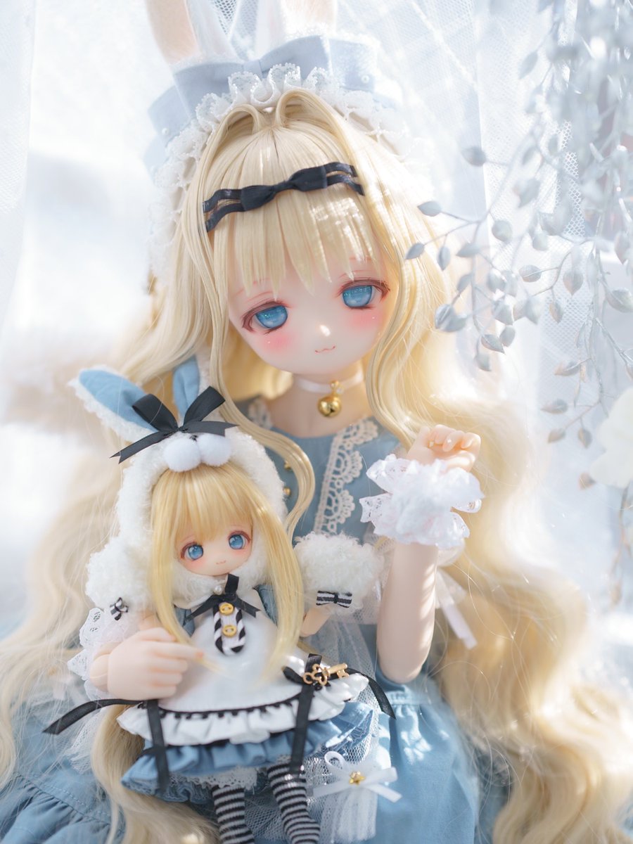 ぽぽか【Poe-Poe】 tweet media