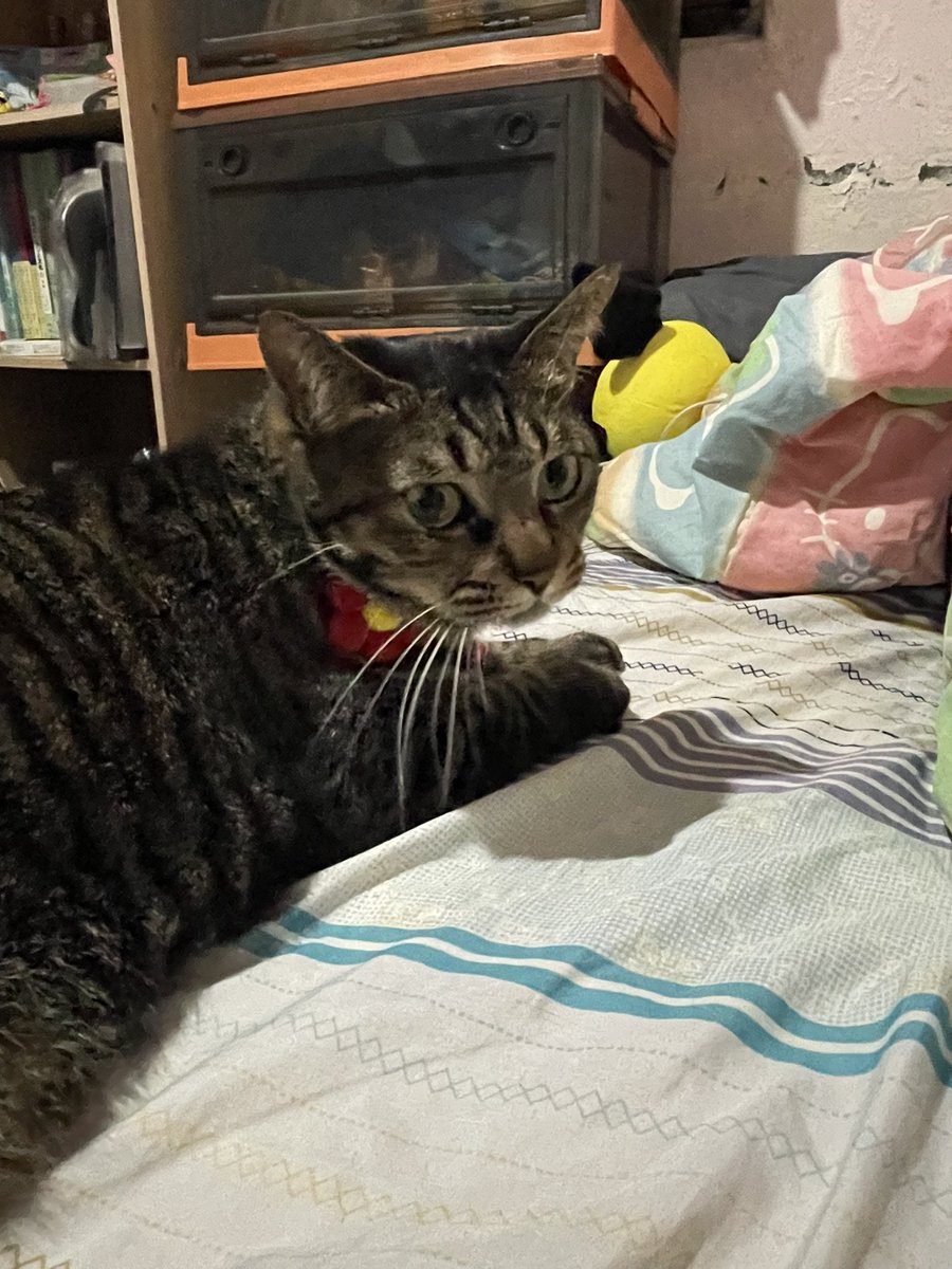 奇怪為什麼我的推薦有這麼多機器人
#基隆