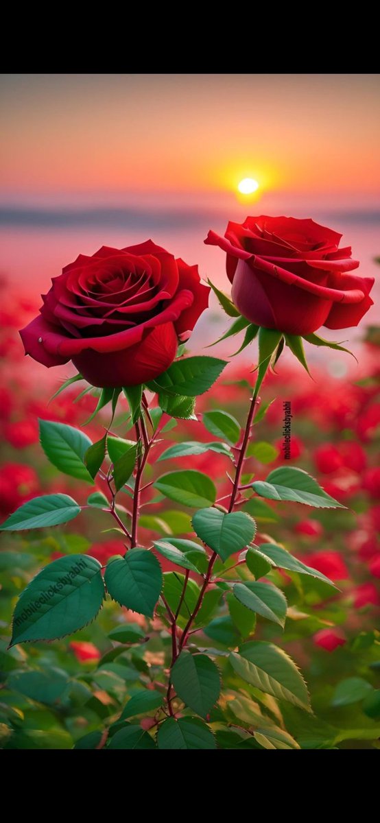 sapna (@sapna7470715333) on Twitter photo 