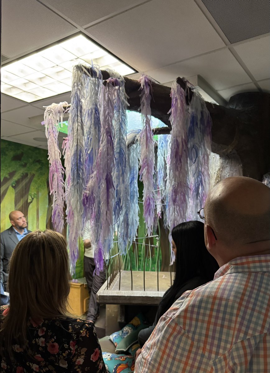 Thank you, Children’s Bereavement Center SA, for hosting this month’s New Counselor Academy and sharing about the wonderful services provided to families during their time of grief. 🦋🤍