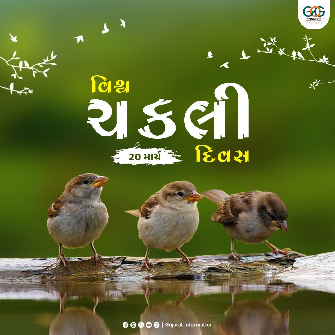 'વિશ્વ ચકલી દિવસ' નિમિત્તે ચકલીની લુપ્ત થતી પ્રજાતિનું સંરક્ષણ અને સંવર્ધન કરવાનો બહુમૂલ્ય સંકલ્પ કરીએ, અને ચકલીને રહેવા માટેના અનુકૂળ વાતાવરણનું નિર્માણ કરીએ…

#WorldSparrowDay