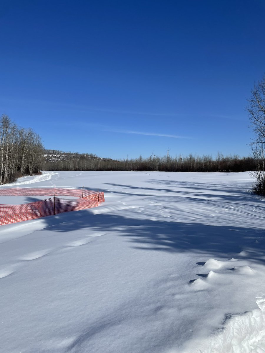 Squirrel 🐿️ season has begun  <a href="/FMGolfClub/">Fort McMurray Golf Club</a>