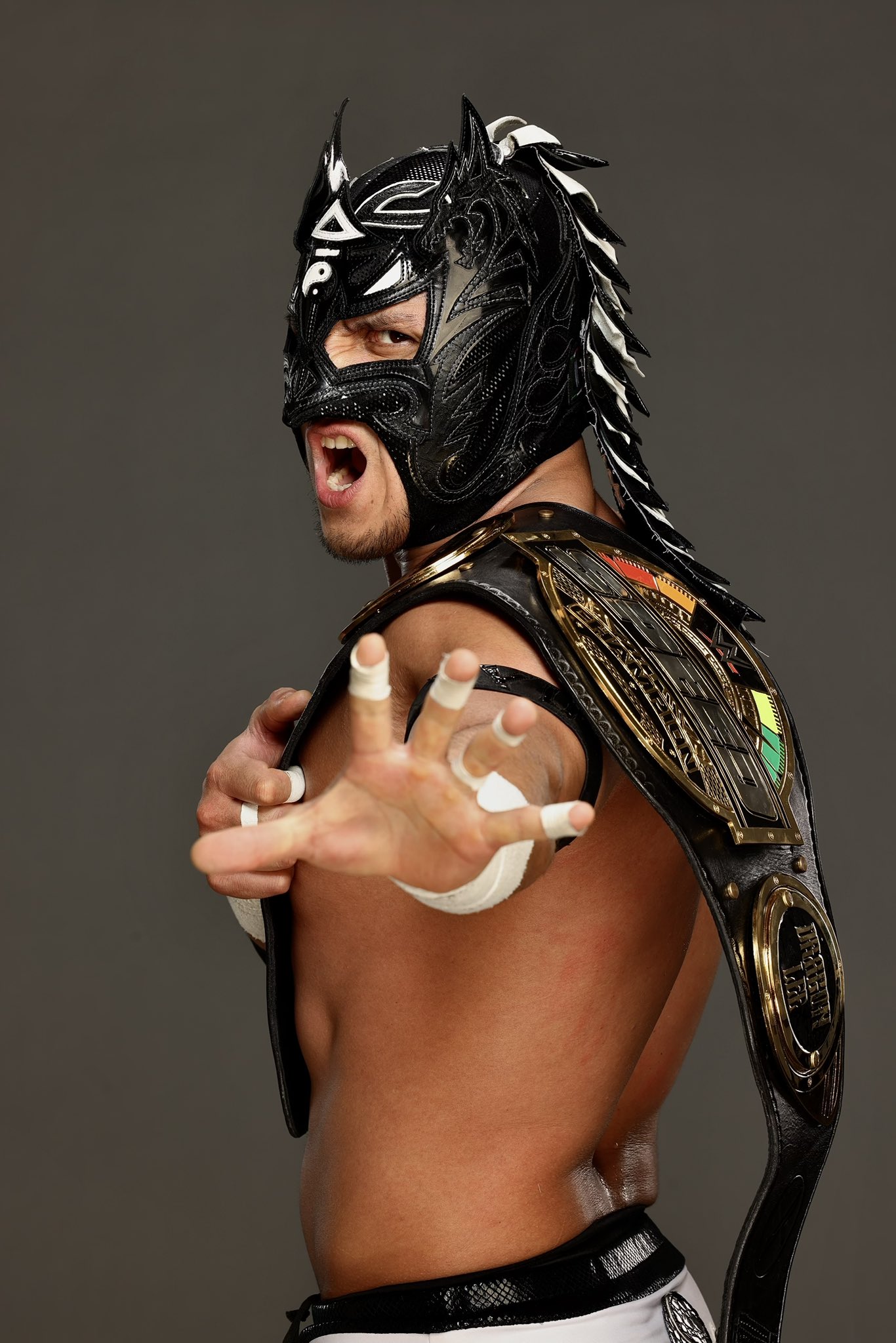 WWE ドラゴン・リー Dragon Lee ドラゴンリー (@dragonlee95) / X