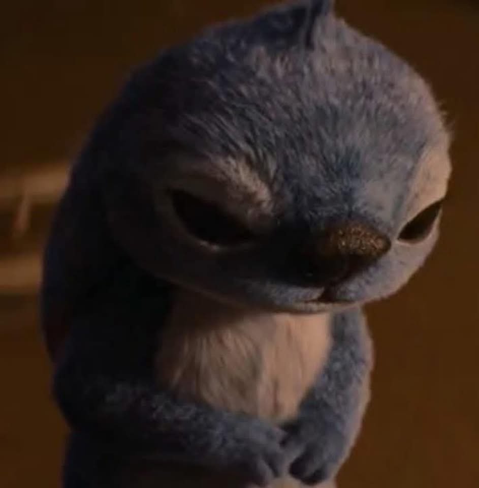 Mi perrito cuando le digo que ya me voy a trabajar: