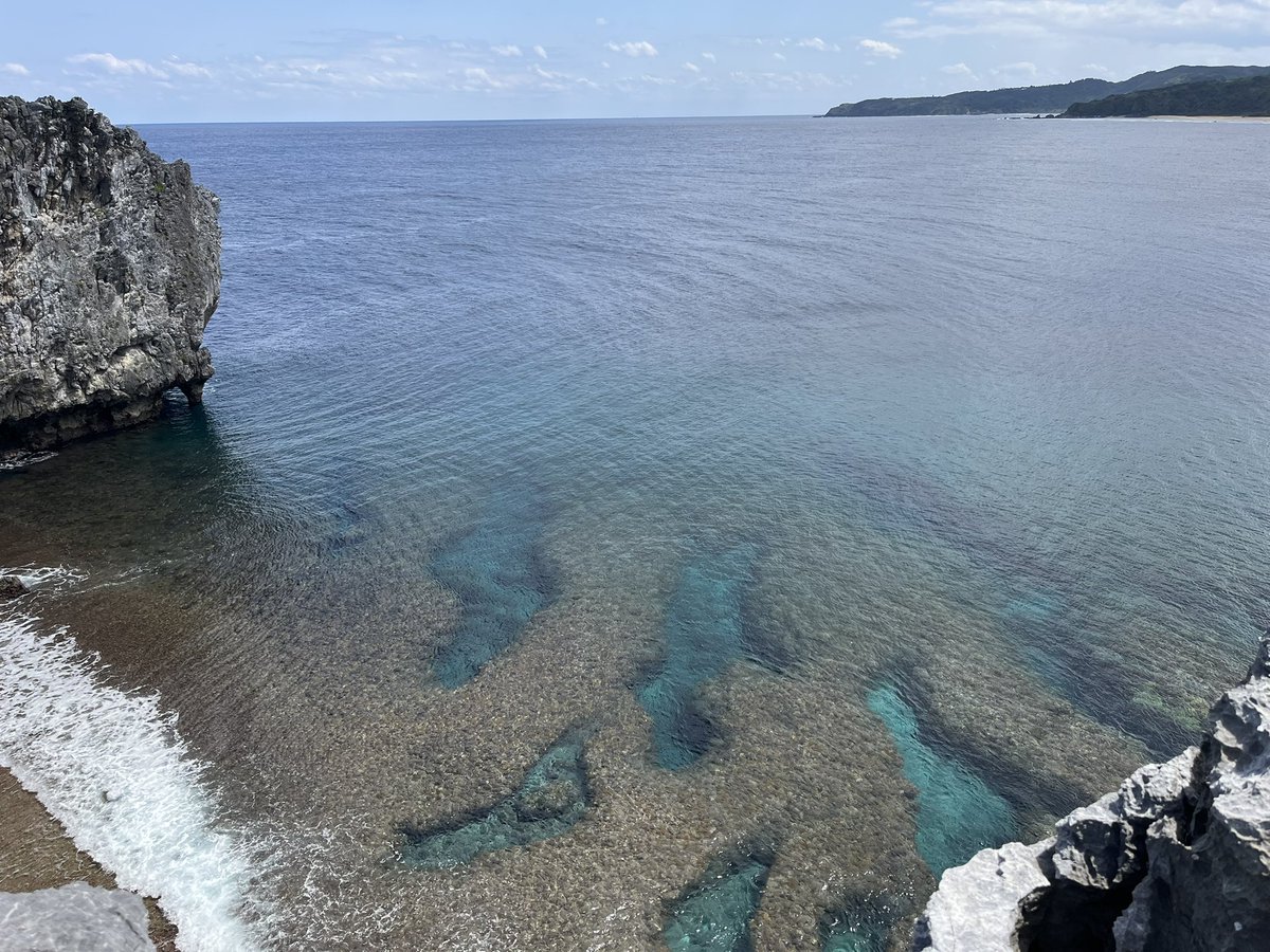 しんたにkungfu (@araquanjp) on Twitter photo 