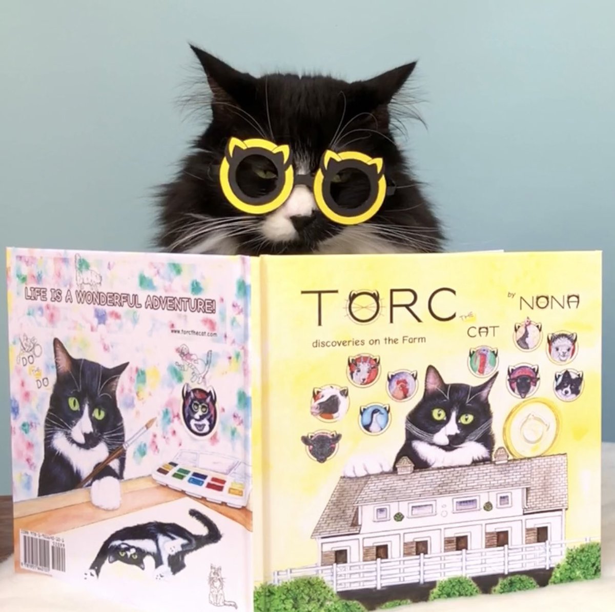TORC the CAT tweet media