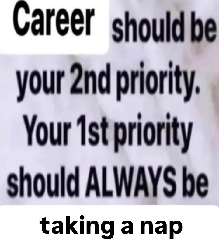 Edith 🐈‍⬛ (@caraphernemiaw) on Twitter photo 