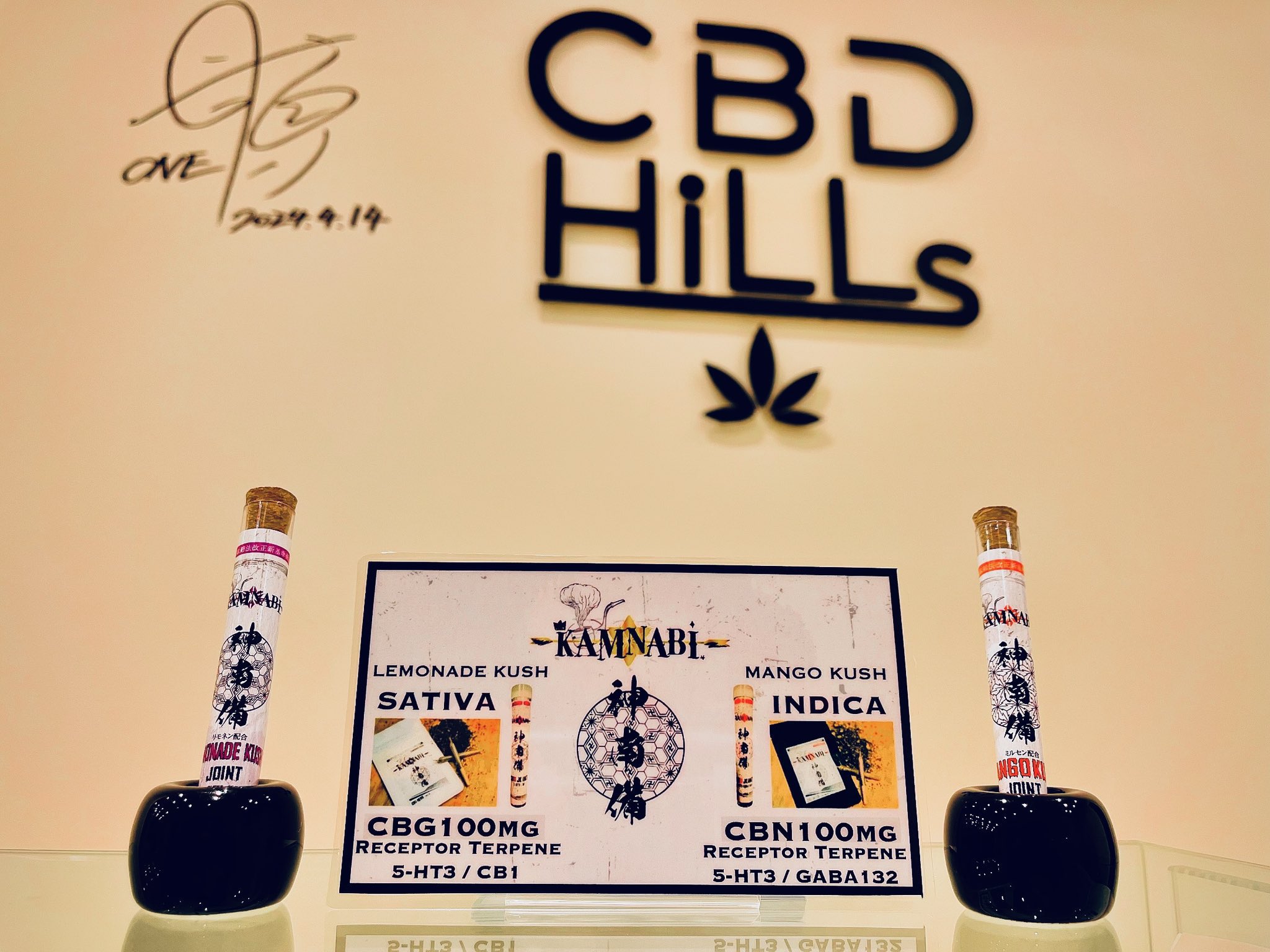 CDTテルペン 10ml 【公式通販】