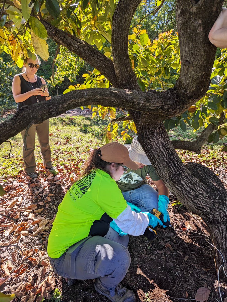 Tropical Plant Clinic & Research Lab tweet media