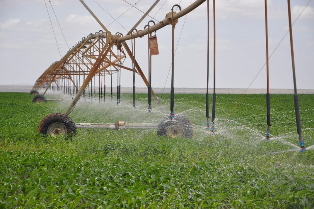 lawrencekitema's tweet photo. Revolutionizing Agriculture Through Irrigation! With #NISIPKe at the forefront, Kenya is expanding irrigated farmland to enhance food security. Let's Invest In Irrigation to support sustainable farming and ensure reliable water access for farmers. https://t.co/HKDPtu0ss5