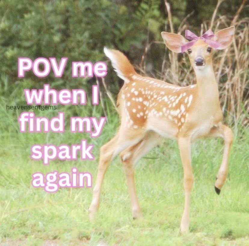 ㅤ