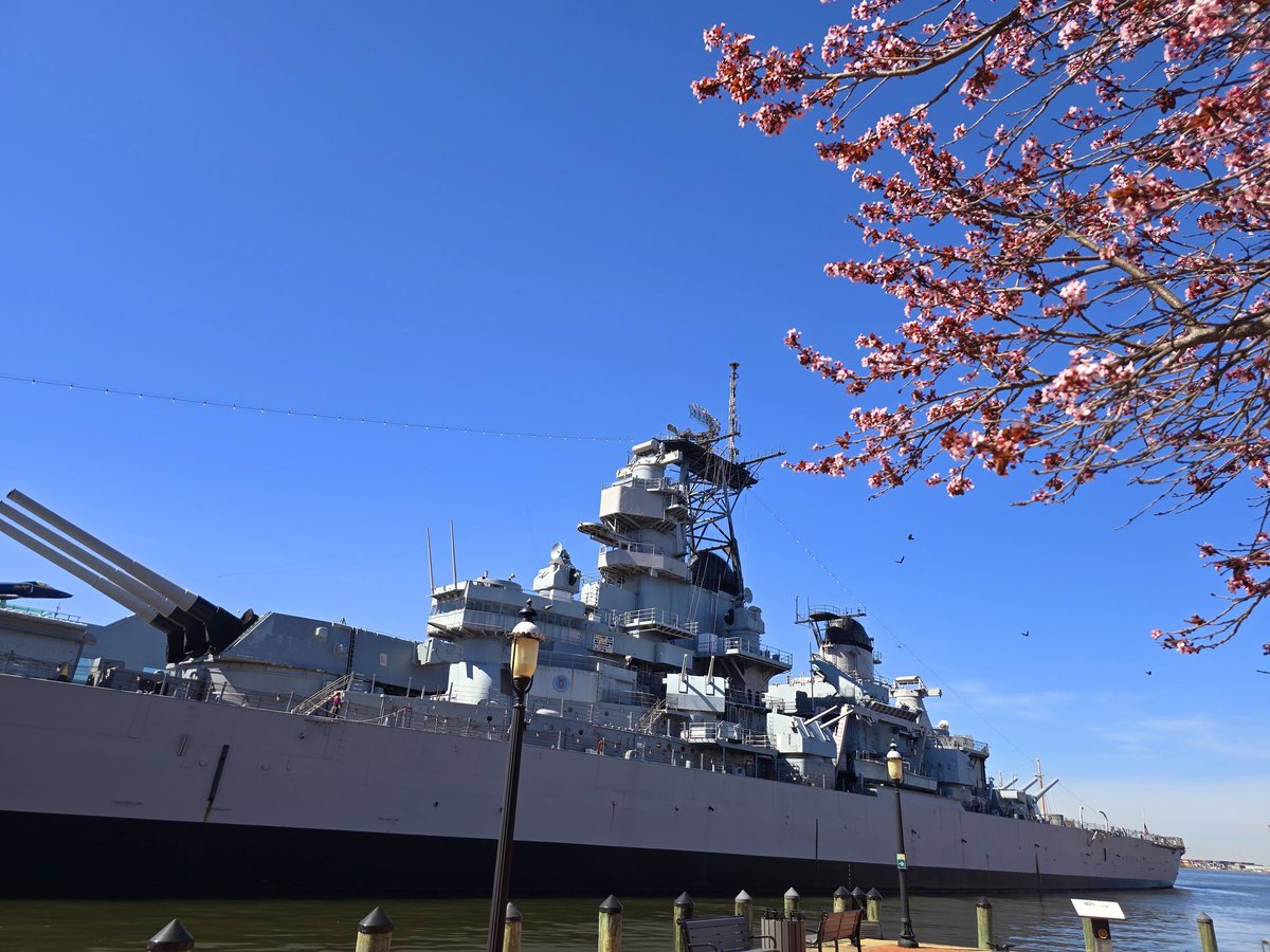 keisuke_fine's tweet photo. 桜と海と軍艦。
日本じゃなかなか見れない風景かも。
意外とアメリカにも桜は咲いてるんですねー❕
#hanabieworldtour2025 https://t.co/doWKNR4QTz
