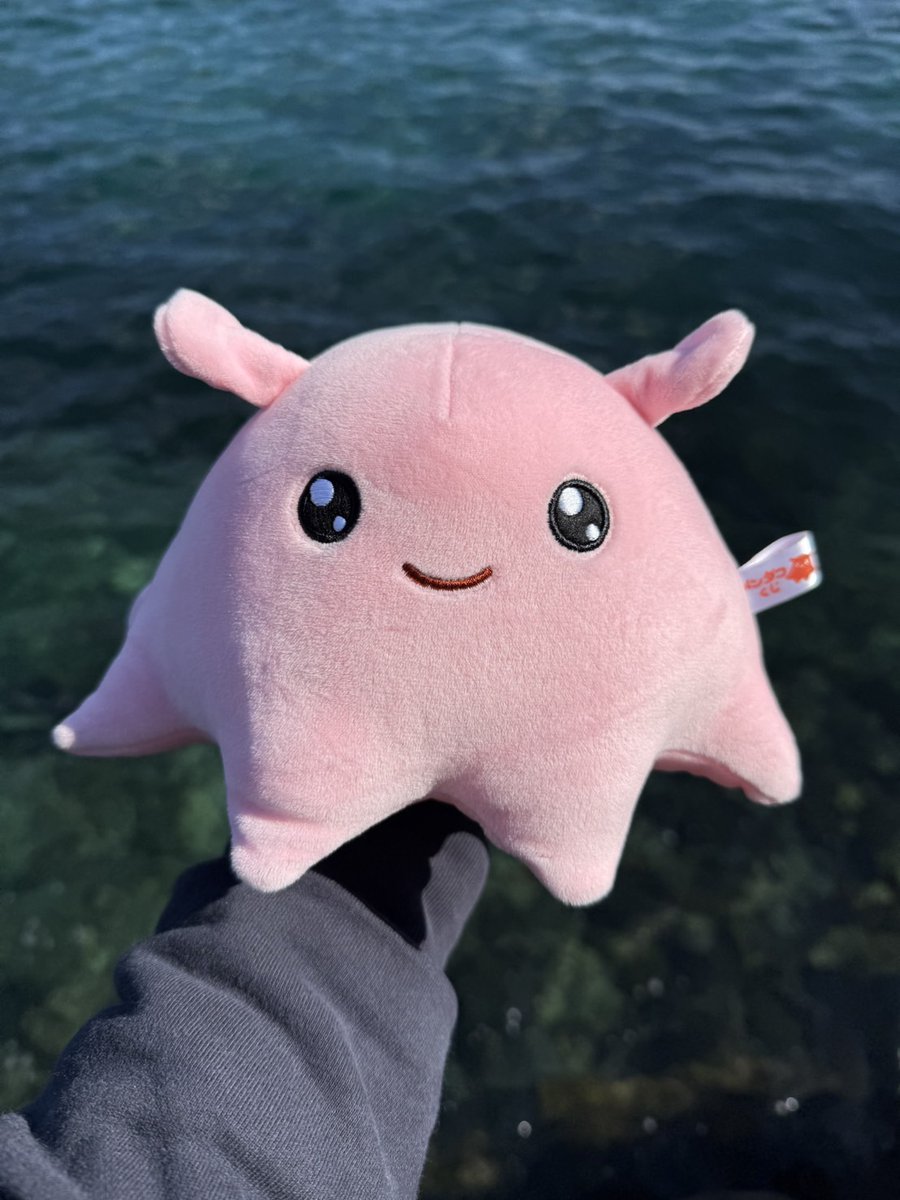 売店情報📢】 ショップしまたろうにて開催中のぬいぐるみくじに