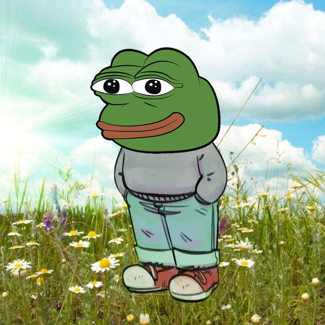 Pepe BRC-20 🟧 (@pepe_brc20) on Twitter photo 