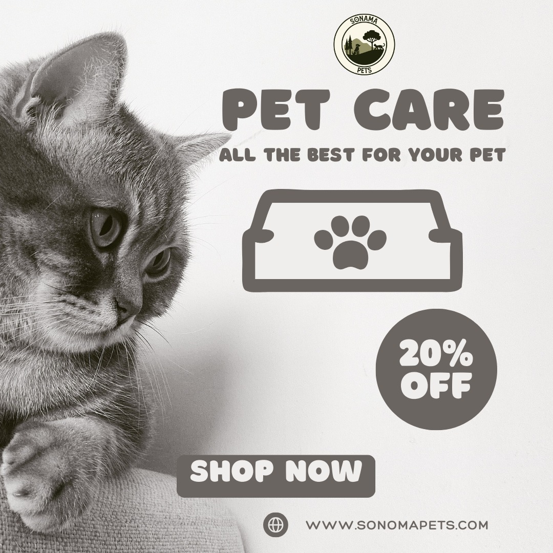 SonomaPets's tweet photo. A happy pet starts with the right food! At Sonoma Pets, we bring you a wide selection of high-quality pet food that’s packed with essential nutrients to keep your furry friends healthy and active. 🌟
https://t.co/5dpQIwXwqH

 #SonomaPets #PetShop #PetAdoption #AdoptDontShop https://t.co/BFuoL8tYUf