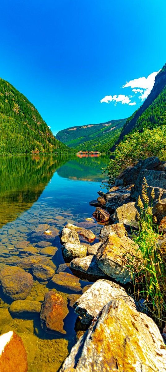 Nature Beauty (@naturebeautyh) on Twitter photo 