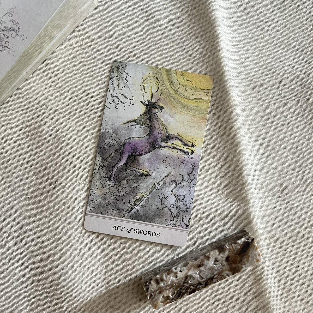 Mini reading 🔭

“ จงกล้าหาญ ที่เดินตามความฝัน ”

พิมพ์ 113 เพื่อรับพลังงาน

มีเพียงแค่ผู้ที่กล้าหาญที่จะทำตามความฝันเท่านั้น  ที่ความฝันจะกลายเป็นจริงได้ หากเรามัวแต่ร้องขอความฝันเกิดขึ้น แต่ไม่ทำอะไรเลย ความฝันนั้นก็คงไม่สามารถเป็นจริงได้