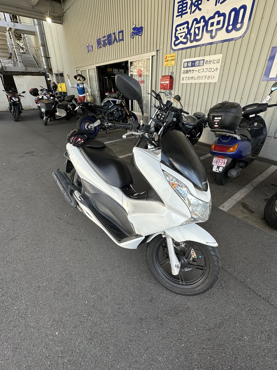 リコールきたぜ😼