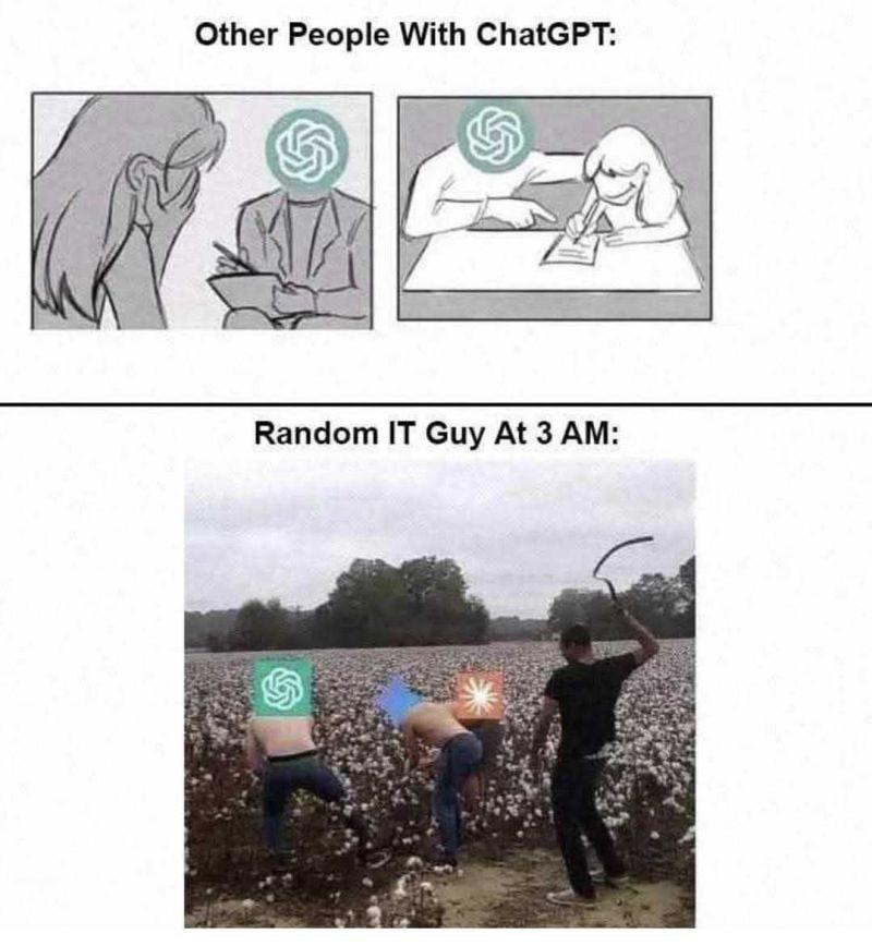 The meme world is both hilarious and dark - yet it reflects real-life scenarios with uncanny precision.