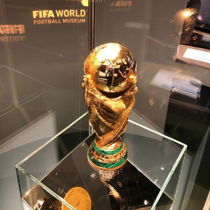 CristianoXtra_'s tweet photo. 🚨🗣️ Bruno:

“We hope that Ronaldo lifts the world cup. It would be a dream.” https://t.co/nwzP5ux8JP