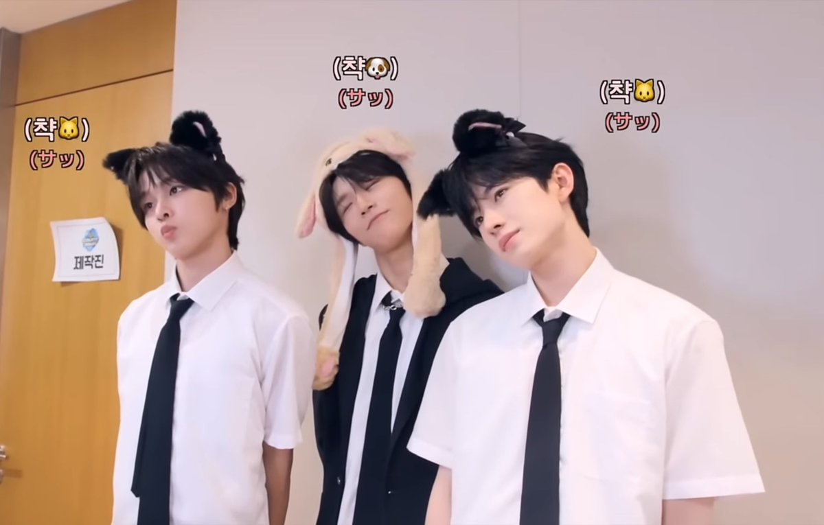 no context wish♡ (@nocontextwishes) on Twitter photo 