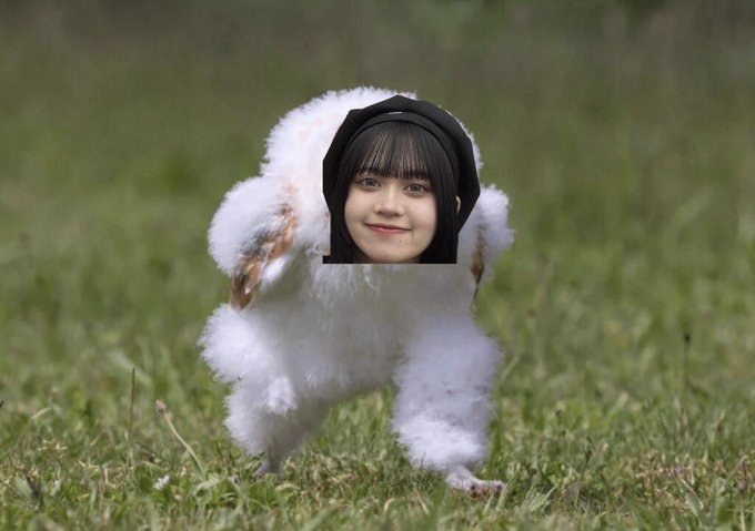 Twitterのコスプレ画像10