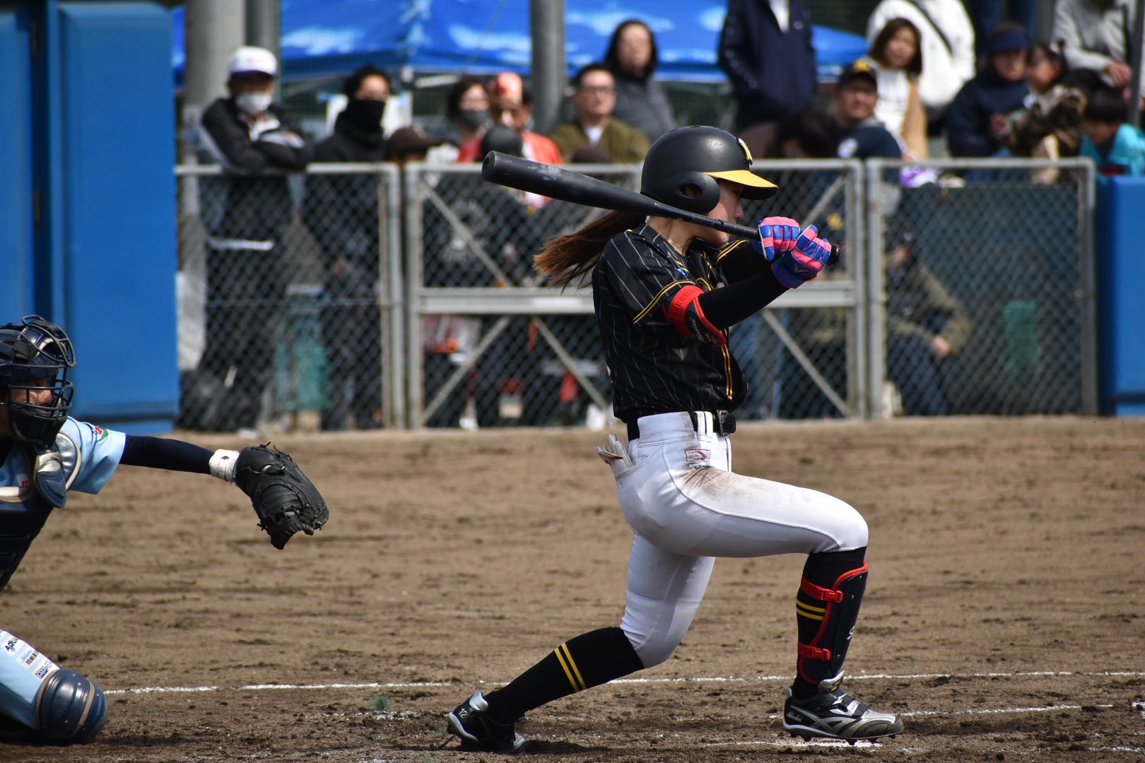 公式】阪神タイガース Women (@Tigers_Women) / X