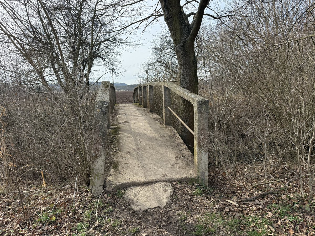 retroturistika's tweet image. Jarní scenérie podél řeky Labe u města Lysé nad Labem #labe #vylet #turistika #cesko #fotocesty #travel #river #czechia #hiking #trip