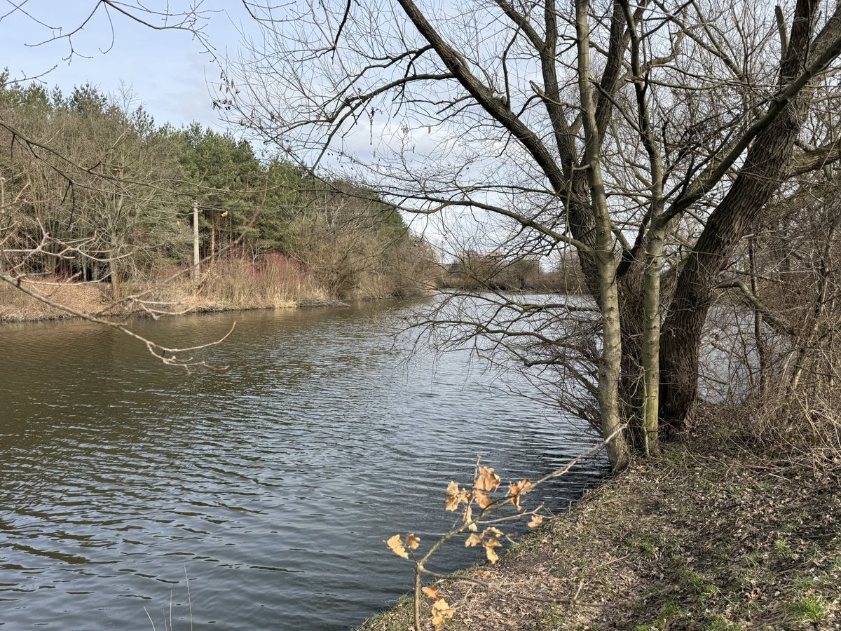 retroturistika's tweet image. Jarní scenérie podél řeky Labe u města Lysé nad Labem #labe #vylet #turistika #cesko #fotocesty #travel #river #czechia #hiking #trip
