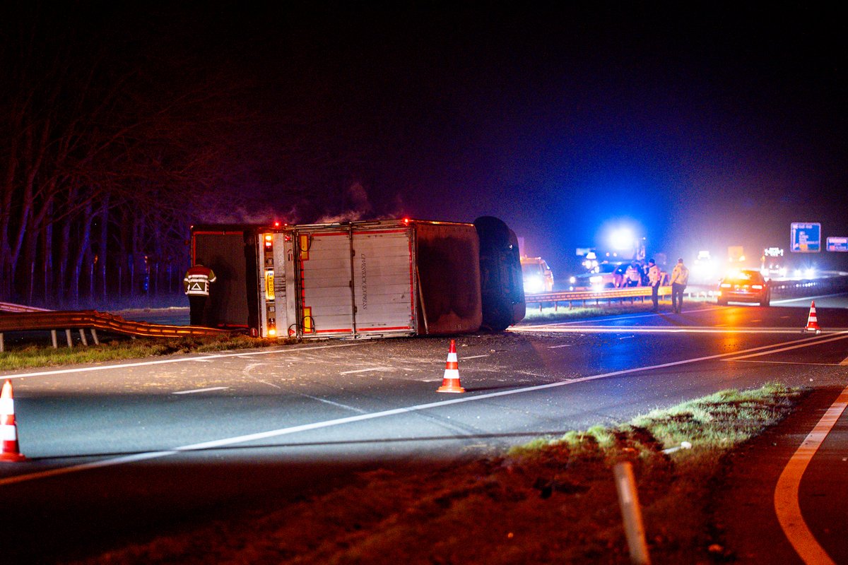 Gekantelde vrachtwagen met koeien op snelweg