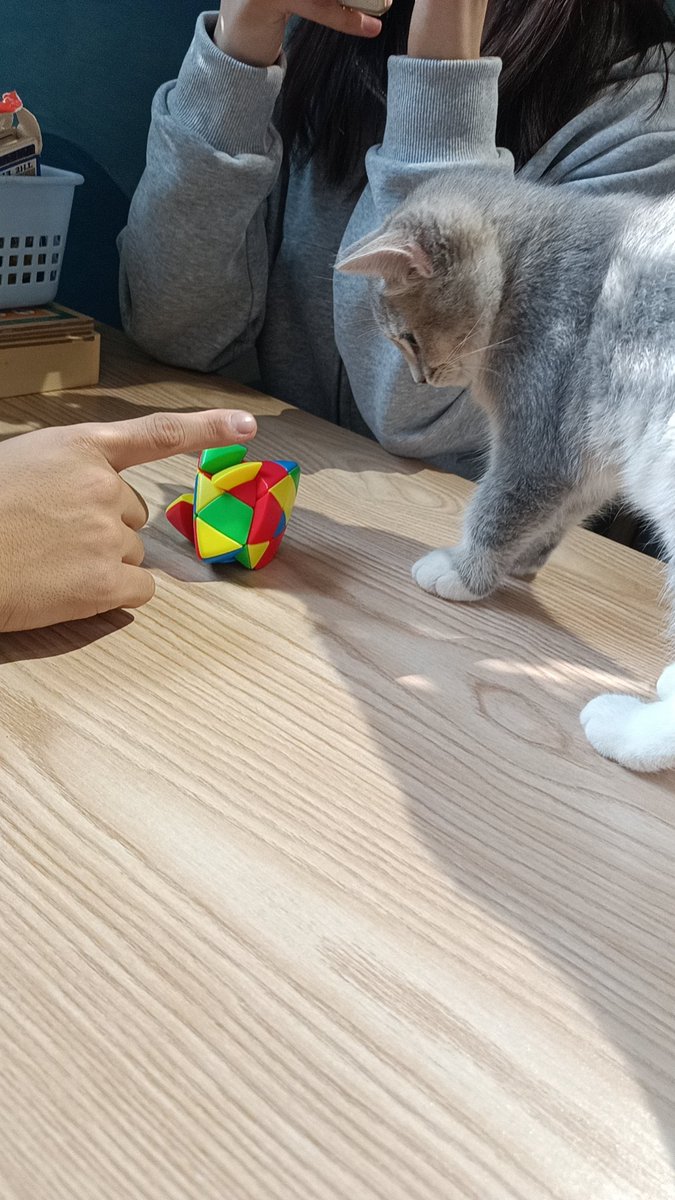 单纯总被骗 tweet media