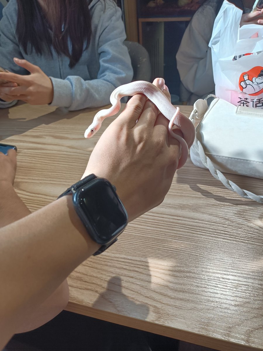 单纯总被骗 tweet media