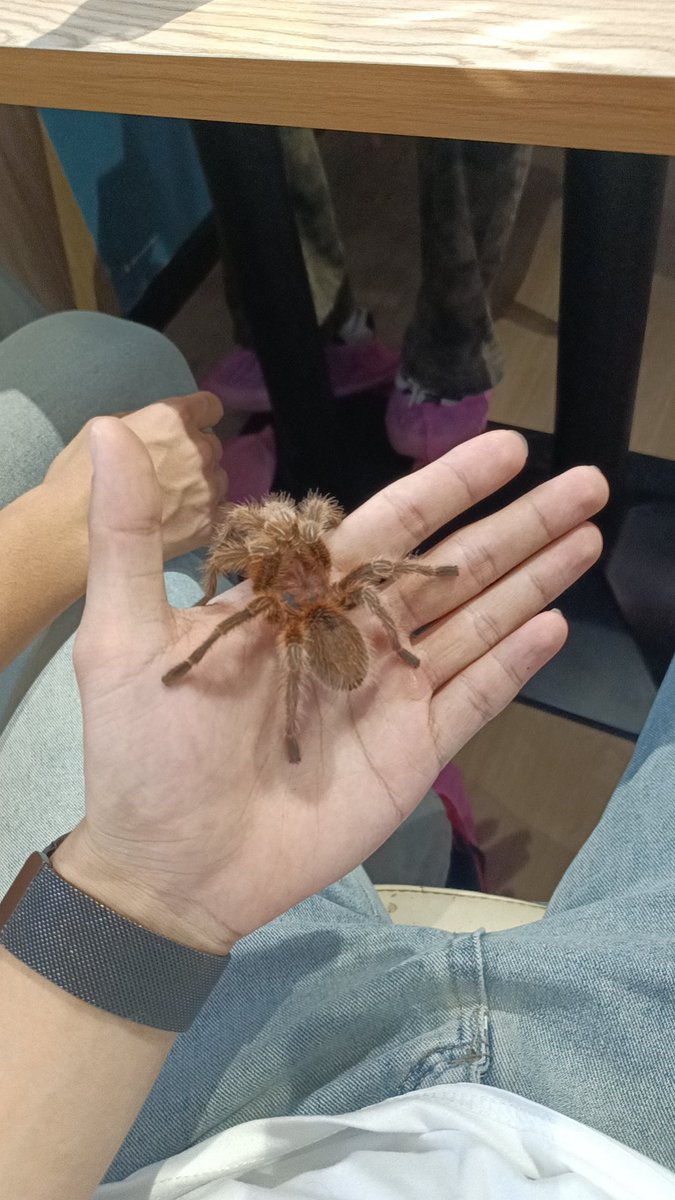 单纯总被骗 tweet media