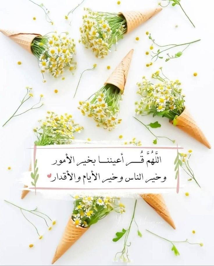 joodyy00's tweet photo. #العشر_lلاواخر_من_رمضان
يا رب .. نحن  مليئون بالأمنيات وأنت وحدك القادر .. اللهم فاجبر قلوبنا جبرا لم نكن نحلم به أبدا .. اللهُم قلبي، كن لهُ واكفه، وأته سؤله، وجمّلهُ بطاعتك، وأغنِه عمَّن سِواك https://t.co/IzJ83kGoUQ