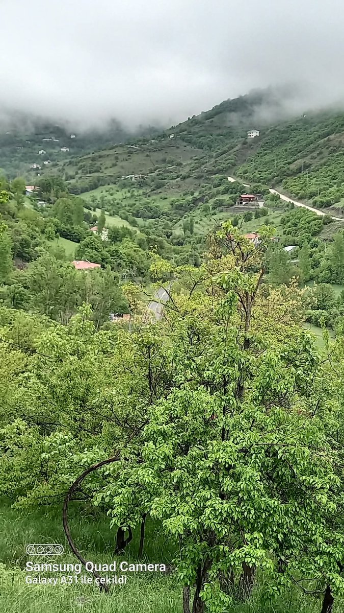 Mutlu sabahlar herkese
Güzel bir gün olsun
Günaydin..