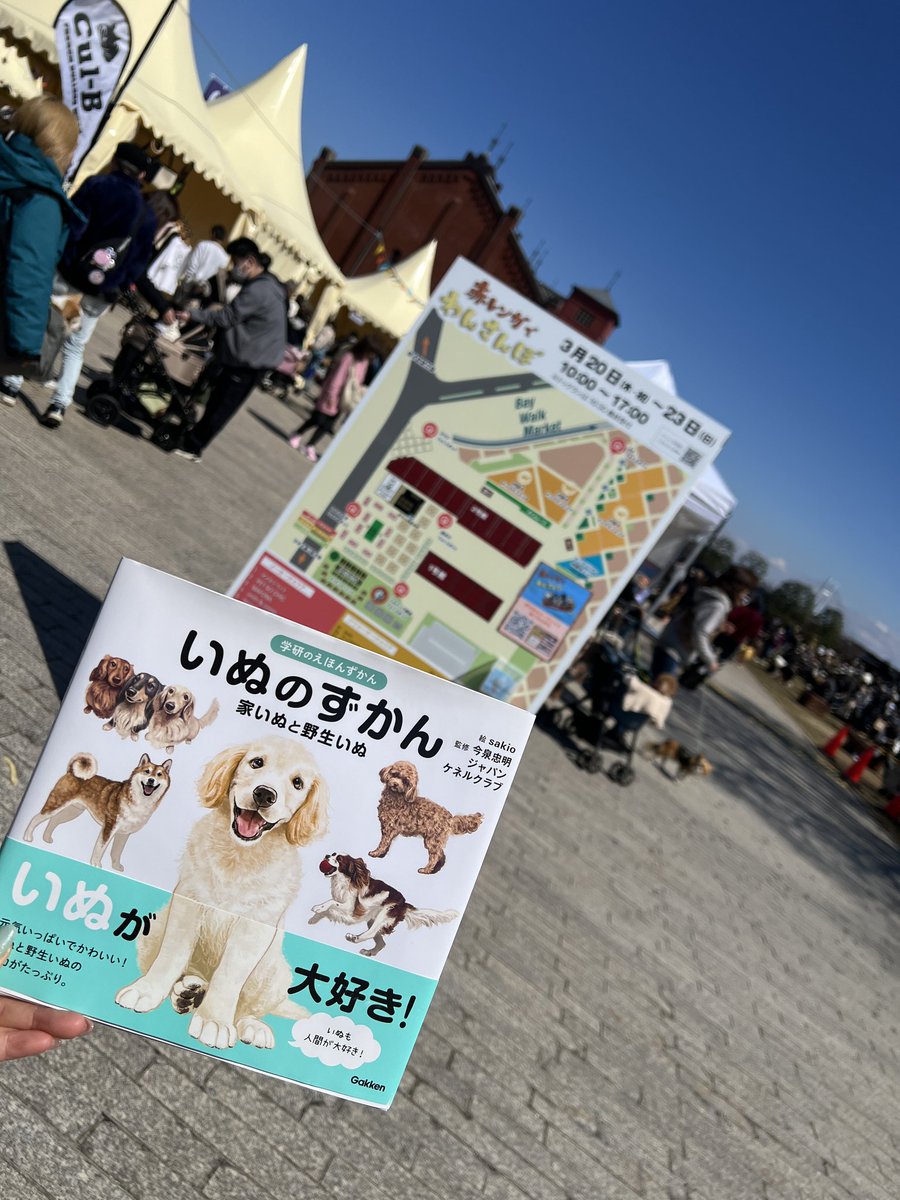 kiyoming724's tweet photo. ドッグフェスには
#sakio さんの
いぬのずかん
マストアイテム✨
#赤レンガでわんさんぽ https://t.co/mSYZJmDf5l