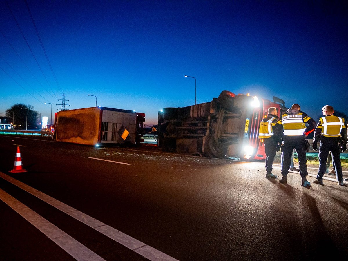 Vrachtwagen met koeien kantelt op snelweg