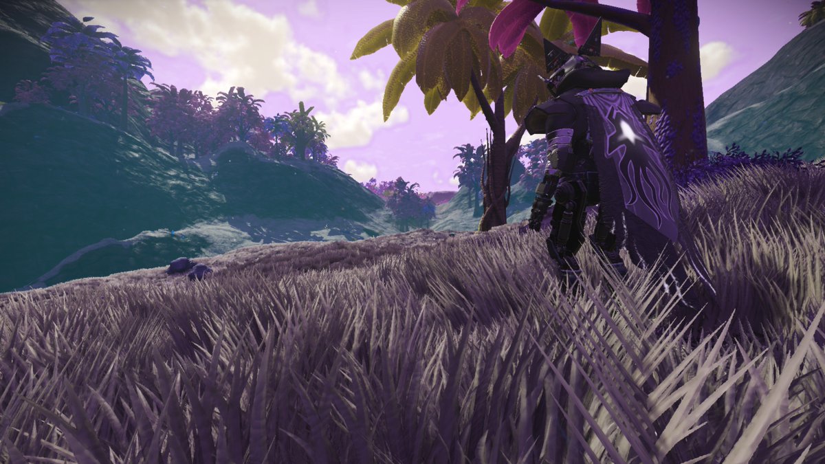 LAWofEVOLUTION's tweet photo. On the hunt for white grass, and this is closest I've gotten.  Hint of purple due to the sky, but... not perfect.  So, the hunt continues.  #NoMansSky @NoMansSky https://t.co/Uriag2Jwed