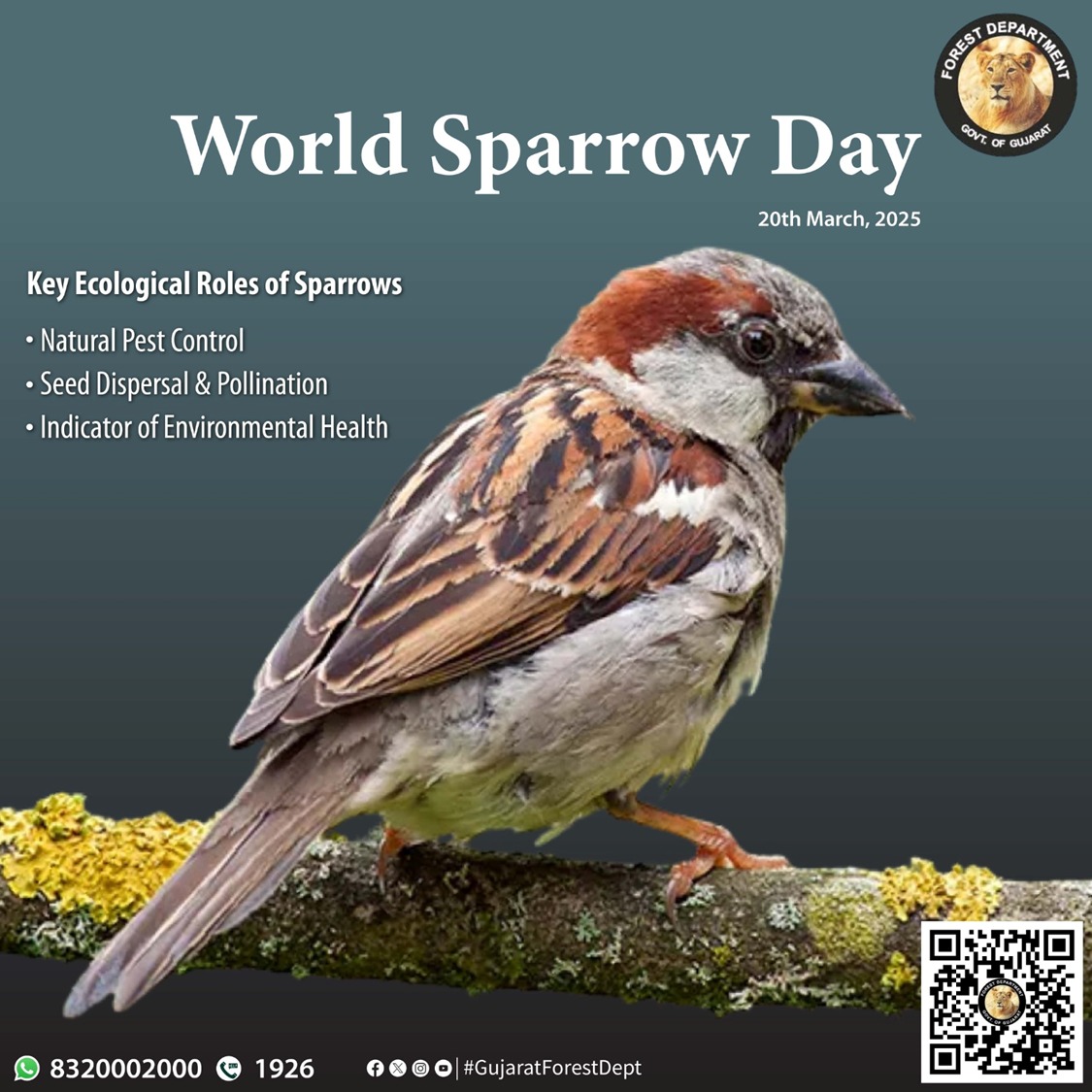 GujaratForestDept tweet media
