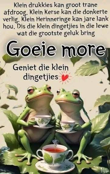 Môre sê aan jul almal.