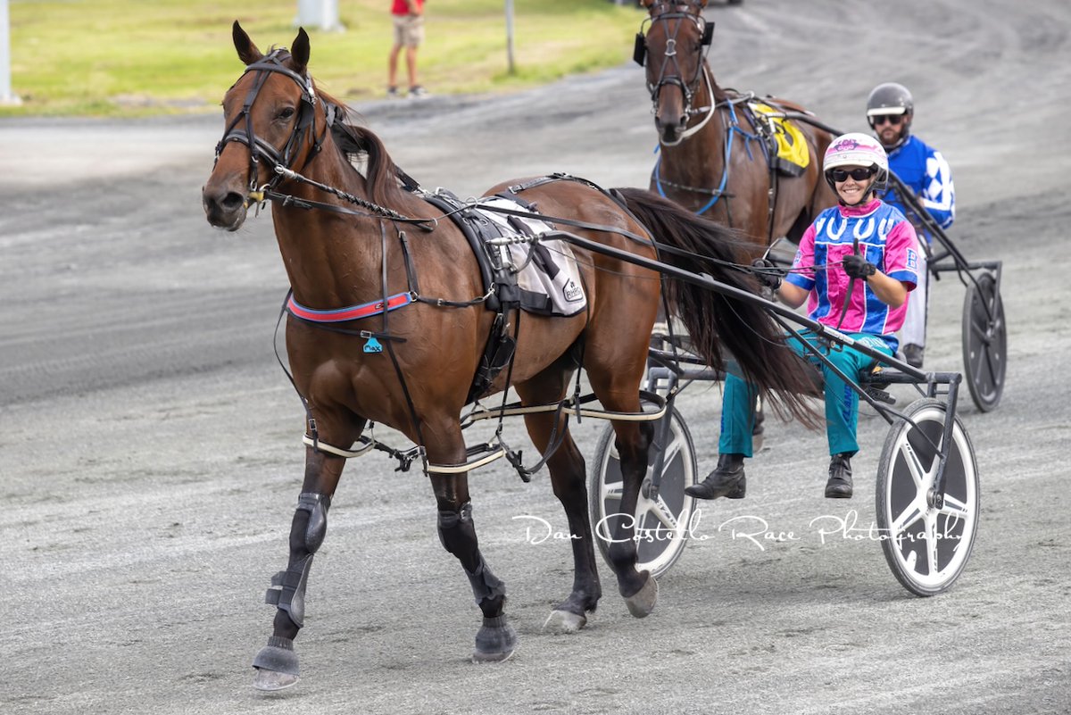 Dan Costello tweet media