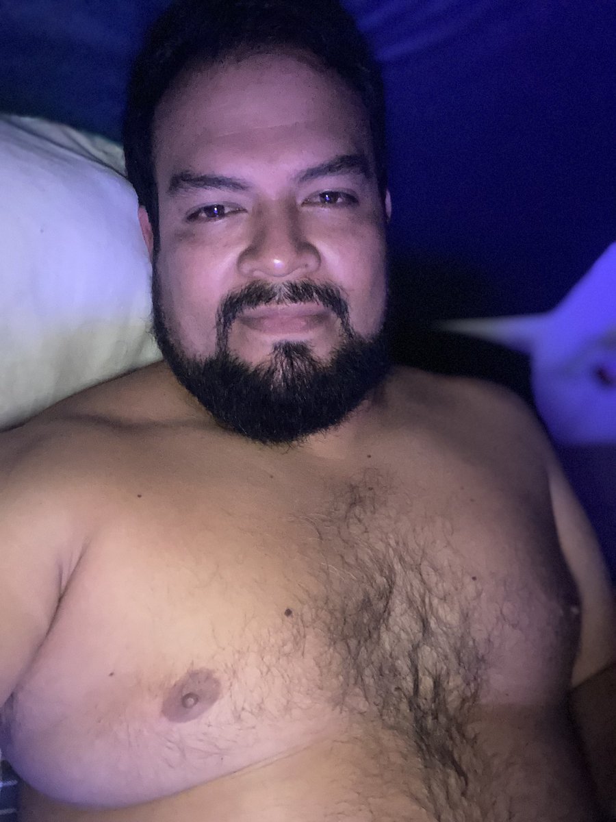 bear_robert's tweet image. Que calor