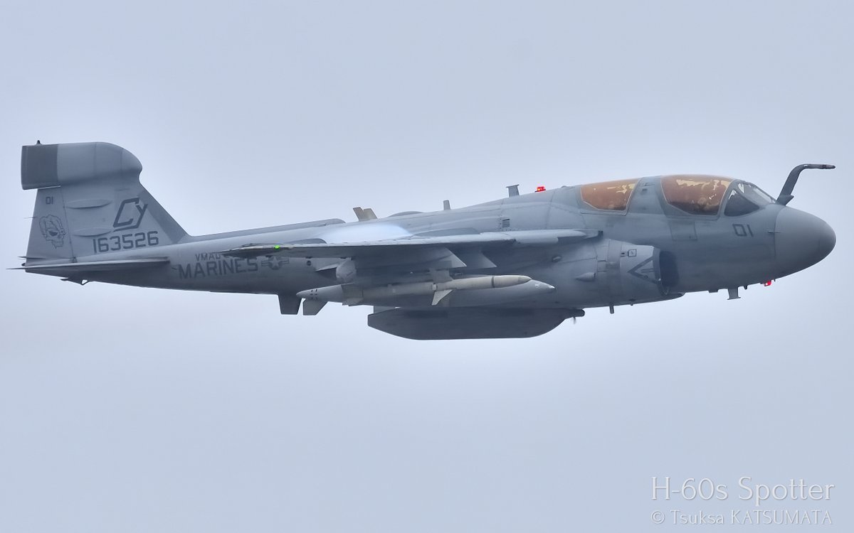 PHG_artworks's tweet photo. EA-6B, USMC, VMAQ-2 "Death Jesters"
Iwakuni FSD 2015, MCAS Iwakuni, Japan, 03/May/2015
#ea6b #usmc #prowler #vmaq2 #deathjesters #mcasiwakuni #iwakunifsd #aircraftspotter #avgeek #aviationphotography https://t.co/VDMd79oBJC