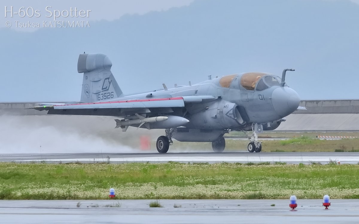 PHG_artworks's tweet photo. EA-6B, USMC, VMAQ-2 "Death Jesters"
Iwakuni FSD 2015, MCAS Iwakuni, Japan, 03/May/2015
#ea6b #usmc #prowler #vmaq2 #deathjesters #mcasiwakuni #iwakunifsd #aircraftspotter #avgeek #aviationphotography https://t.co/VDMd79oBJC